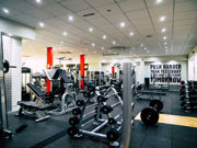 Matthew Arnold   Lifestyle & Fitness    8